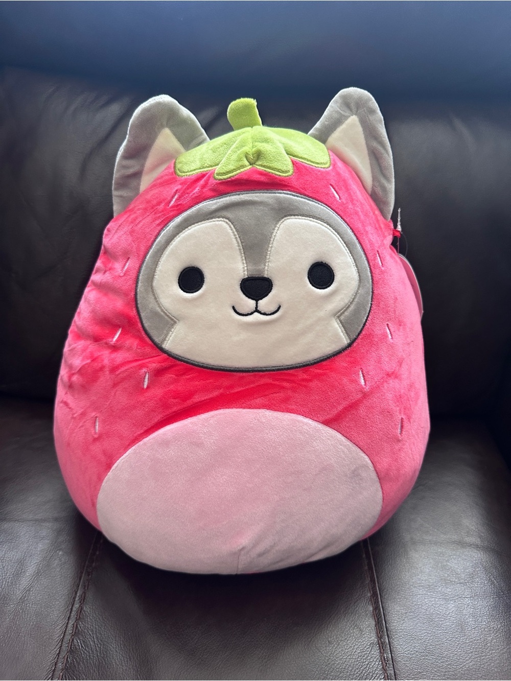 Ryan the Husky in Strawberry costume Squishmallows Soft Plush 12 inches - New
